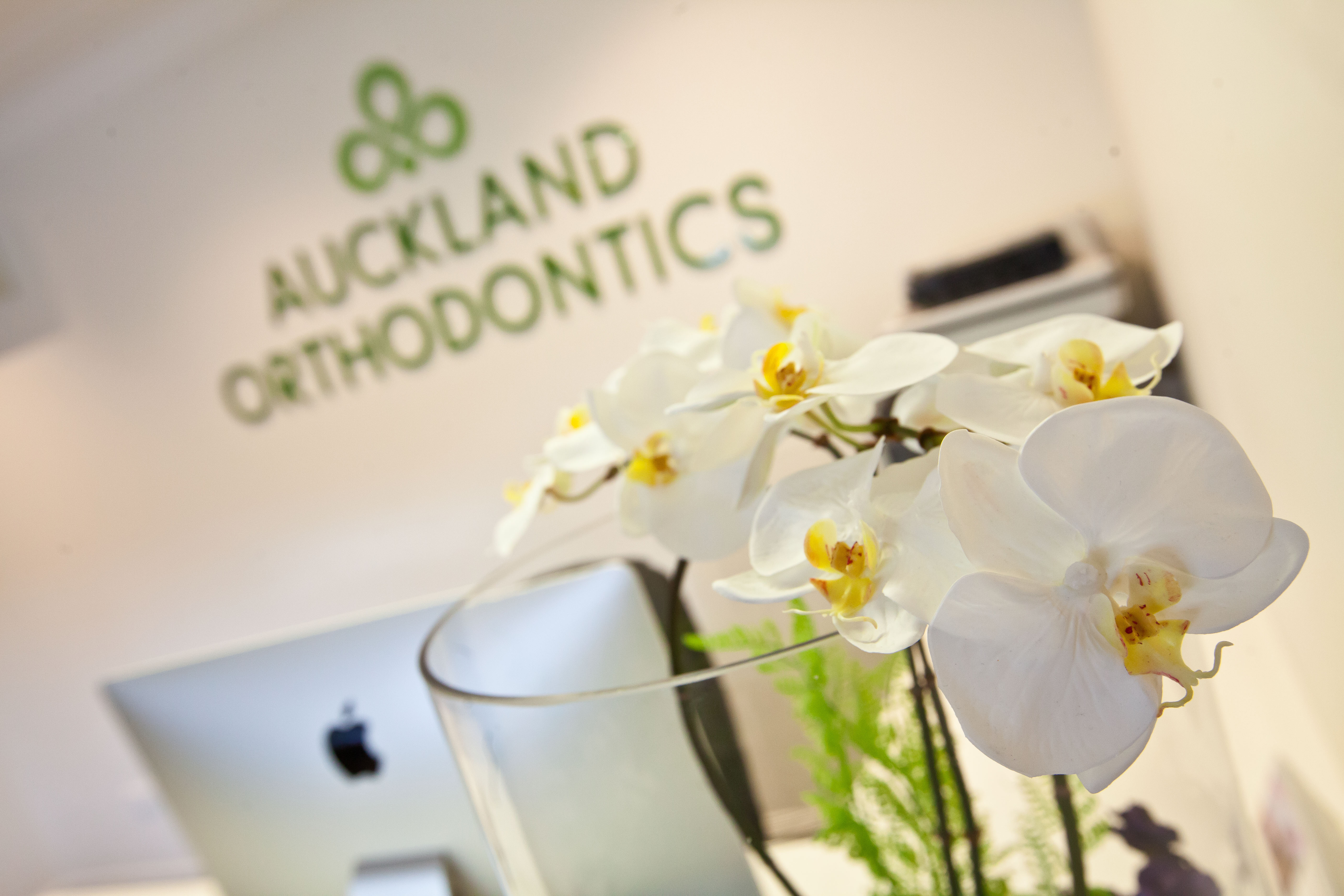 Orchids at reception Orchids at reception